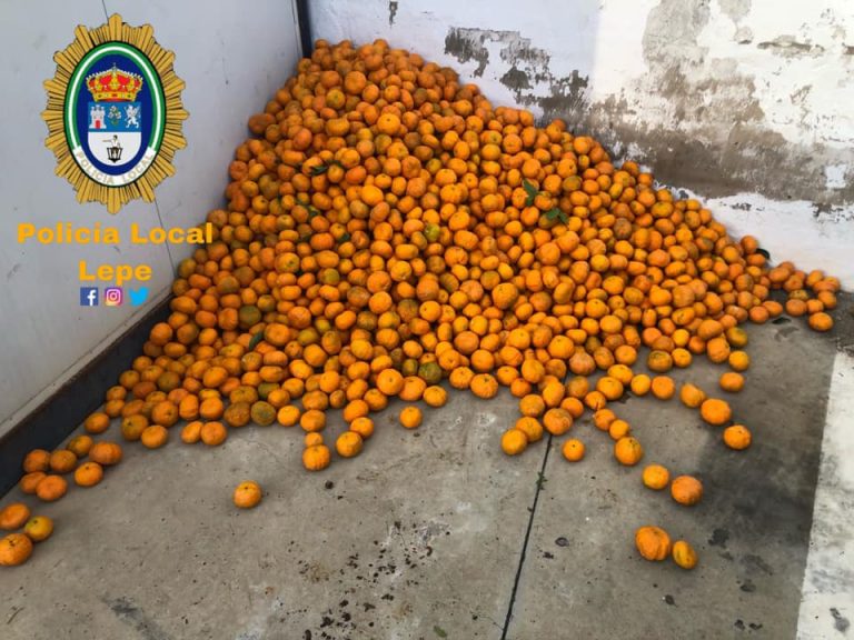 Interceptan en Lepe un coche con 300 kilos de naranjas presuntamente robadas