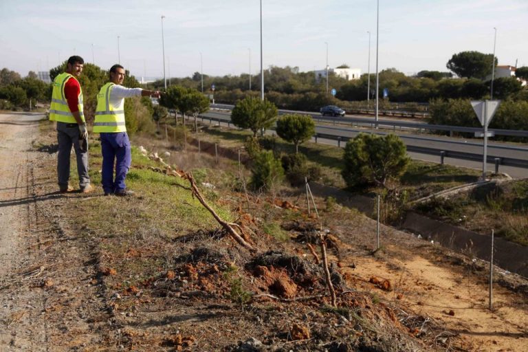 El Ministerio de Fomento inicia las obras de los accesos al Chare de la Costa