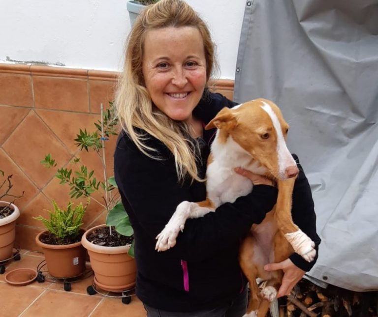 Vecina de Lepe adopta perra podenca hallada abandonada en un pantano de Cartaya