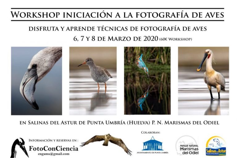 Salinas del Astur organiza en Punta un taller de iniciación a la fotografía de aves