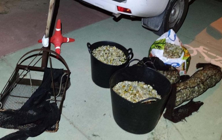 Intervenidos en Ayamonte 250 kilos de coquina y artes de pesca para marisqueo