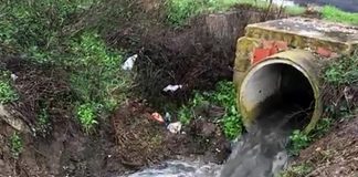 Indignación en Cartaya por vertidos de agua sucia y con olor nauseabundo al paraje protegido de La Ribera