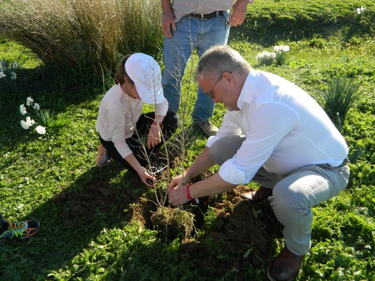 Isla Cristina acogerá en abril el IV Encuentro de Consejos Locales de Infancia y Adolescencia