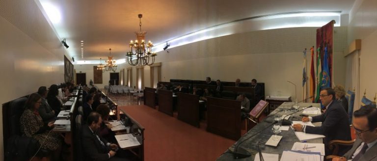 El Pleno de la Diputación ratifica una Declaración Institucional en apoyo del cerdo ibérico en extensivo