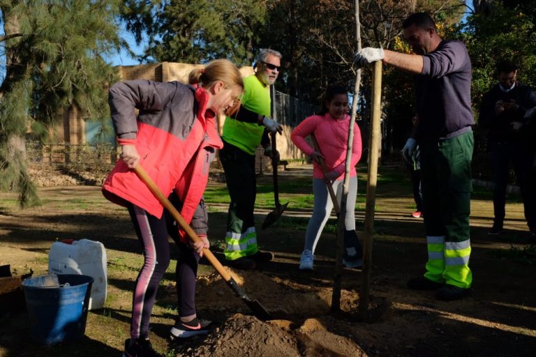 Escolares de Ayamonte e Isla Cristina participan en sendas plantaciones de árboles