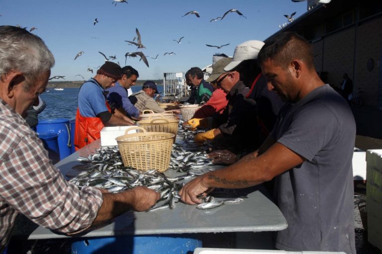 Isla Cristina acogerá el próximo martes el encuentro ibérico de la sardina