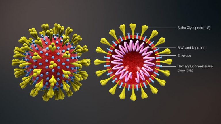 El Ayuntamiento de Ayamonte pide a los vecinos que adopten medidas frente al Coronavirus