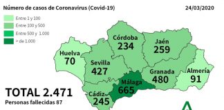 Coronavirus: Salud confirma 12 nuevos casos en Huelva, que suma ya 70