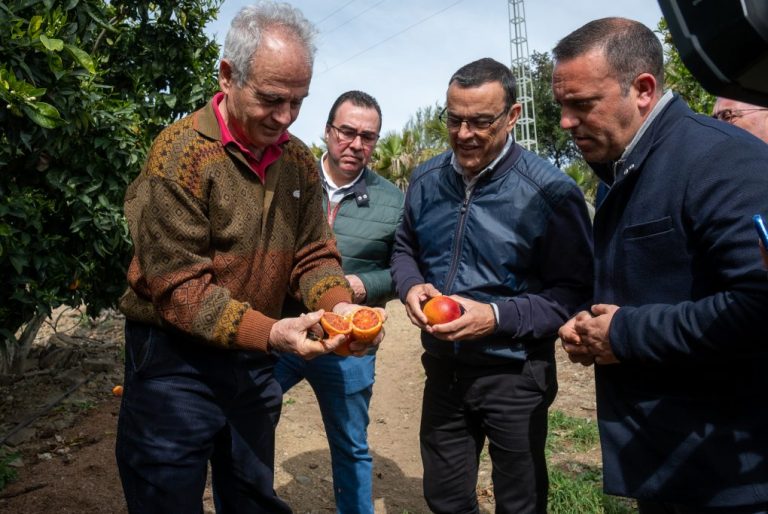 Caraballo visita una producción citrícola en San Silvestre para conocer el avance de la campaña