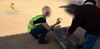 Seprona interviene y libera 30 jilgueros, verderones y luganos capturados en Gibraleón ilegalmente