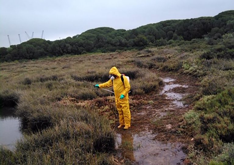 Diputación de Huelva inicia la campaña de control de mosquitos en 12 municipios