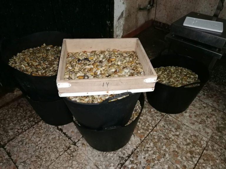 Incautados 783 kilos de bivalvos en una nave ilegal de Isla Cristina