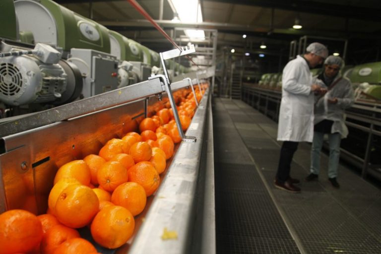 J. García Carrión y Mercadona refuerzan la producción de zumo elaborado en Castillejos y duplican ventas