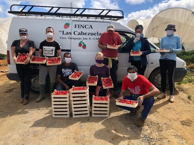 Coronavirus: agricultora de Cartaya dona un lote de cajas de fresas al comedor social de la localidad