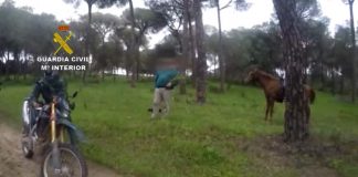 Multan a un hombre que estaba cogiendo espárragos en Doñana mientras su hijo montaba a caballo