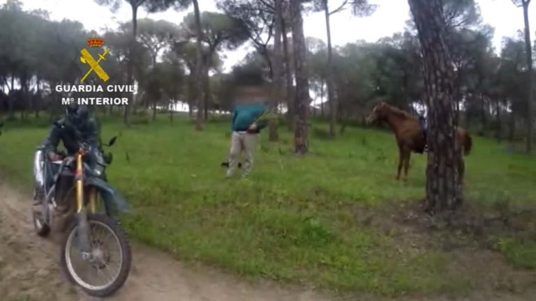 Multan a un hombre que estaba cogiendo espárragos en Doñana mientras su hijo montaba a caballo