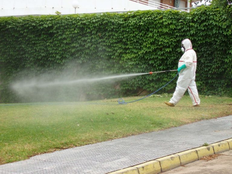 Ayamonte le declara la guerra a cucarachas y mosquitos