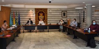 Punta aprueba incentivos para el tejido empresarial con una llamada al consenso de la alcaldesa