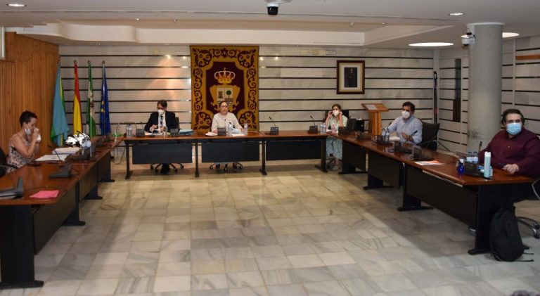 Punta aprueba incentivos para el tejido empresarial con una llamada al consenso de la alcaldesa