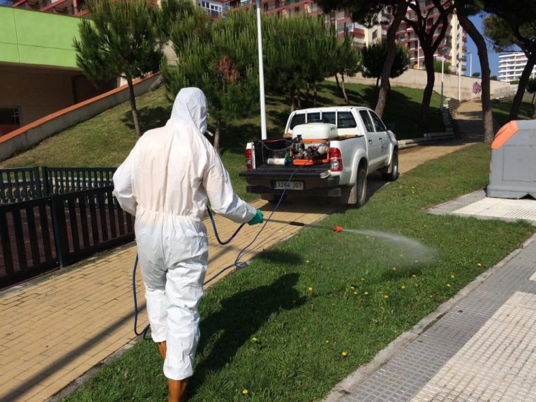Punta Umbría inicia el martes la campaña de control de mosquitos