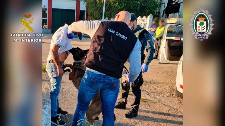 Detenidas seis personas en La Palma del Condado por tráfico de drogas