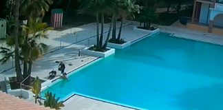 Pillan a tres personas bañándose y bebiendo en la piscina de un hotel cerrado en Isla Cristina