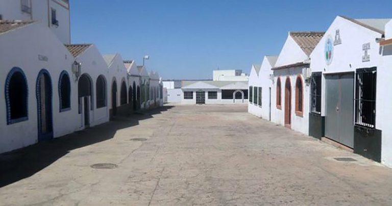 Cartaya reabre su mercadillo el 21 de mayo y lo traslada al recinto ferial