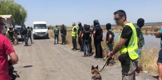 El mayor golpe al narcotráfico en la provincia de Huelva se salda con 20 detenidos