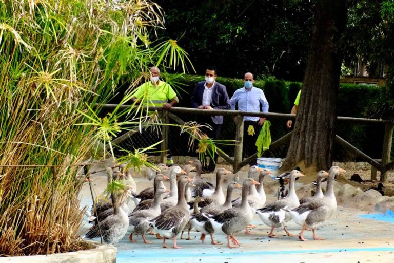 Ayamonte soluciona las filtraciones de agua del estanque de Los Patos