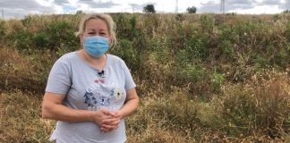 Cartaya: serpientes, cucarachas, ratas y garrapatas a las puertas de sus casas