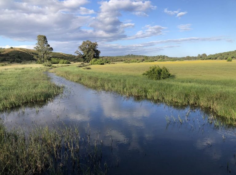 Ayamonte destaca la importancia de sus espacios naturales en el Día Mundial del Medio Ambiente