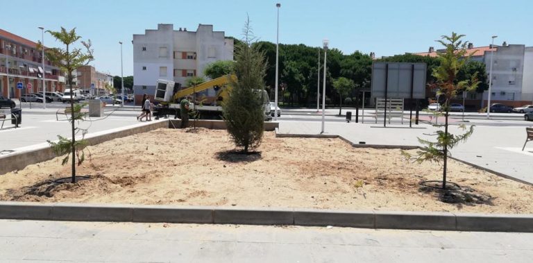 El Ayuntamiento de Punta renueva los jardines de varias zonas del pueblo