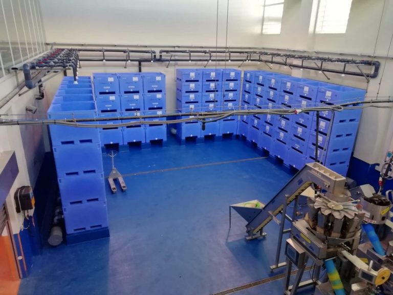 Concluye la obra del centro de depuración de moluscos del puerto de Punta Umbría