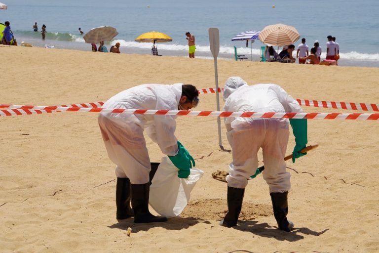 Moguer activa el lunes todos los servicios en la Playa del Parador de Mazagón