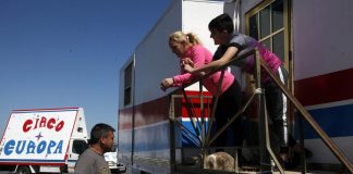 El Ayuntamiento de Punta ayuda al Circo Europa para que pueda retomar su actividad