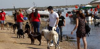 Punta Umbría habilita 2.000 metros cuadrados junto a la ría como playa canina