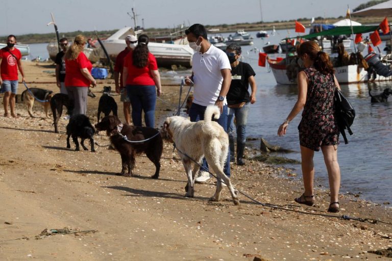 Punta Umbría habilita 2.000 metros cuadrados junto a la ría como playa canina