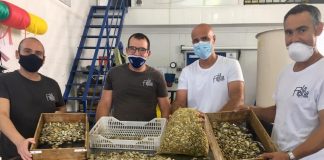La coquina de Huelva en busca de su Denominación de Origen