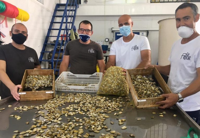 La coquina de Huelva en busca de su Denominación de Origen