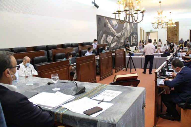 Diputación respalda al sector agrario y a la moda flamenca en sendas declaraciones institucionales