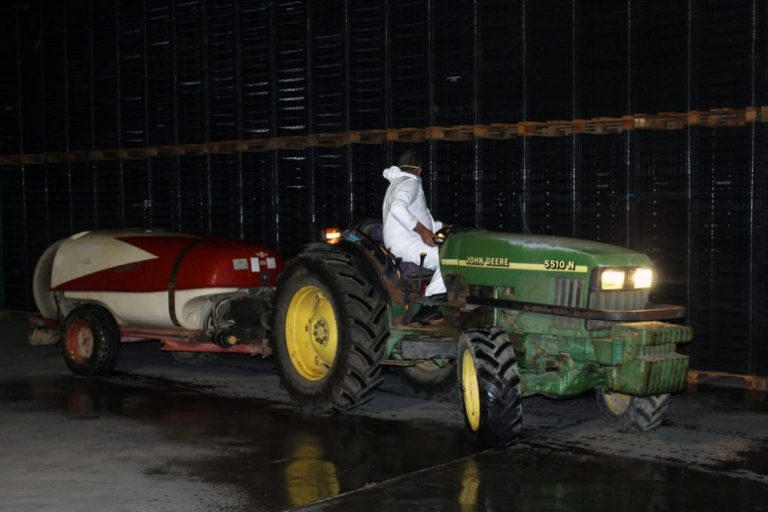 Agricultores de la Cooperativa de Cartaya refuerzan las labores de desinfección de calles