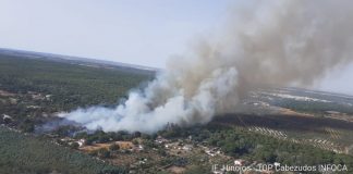Infoca lucha contra un incendio en el paraje de Las Moreras, en Hinojos