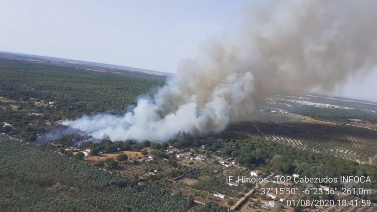 Infoca lucha contra un incendio en el paraje de Las Moreras, en Hinojos