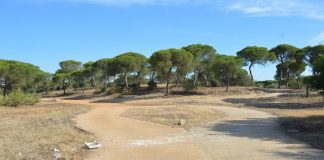 Punta Umbría contará con un complejo para mayores que generará 100 empleos directos