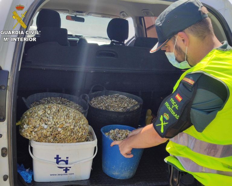 Intervienen en Ayamonte 240 kilos de coquina capturada por 12 mariscadores de forma ilegal