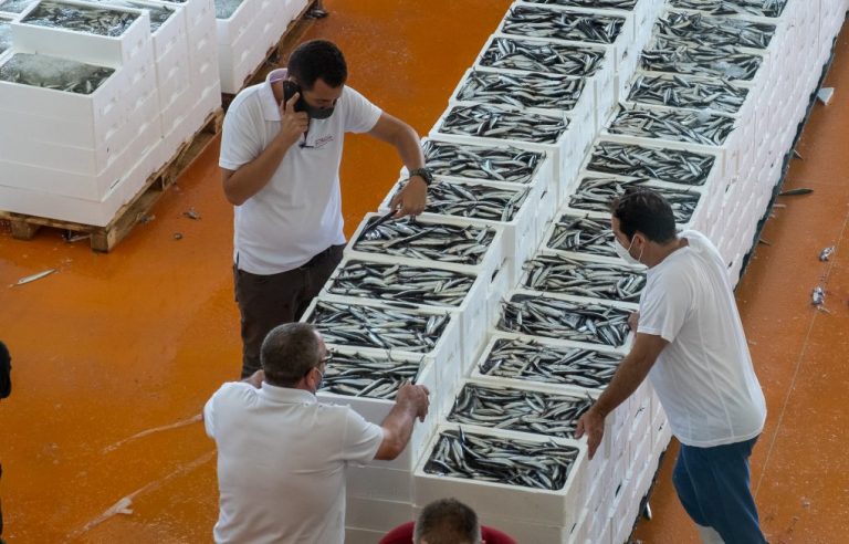 Caraballo refuerza el compromiso de la Diputación con la pesca onubense en una visita a la lonja de Punta Umbría