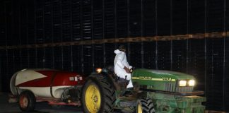 Agricultores de Cartaya vuelven a desinfectar las calles a partir de las 11 de la noche