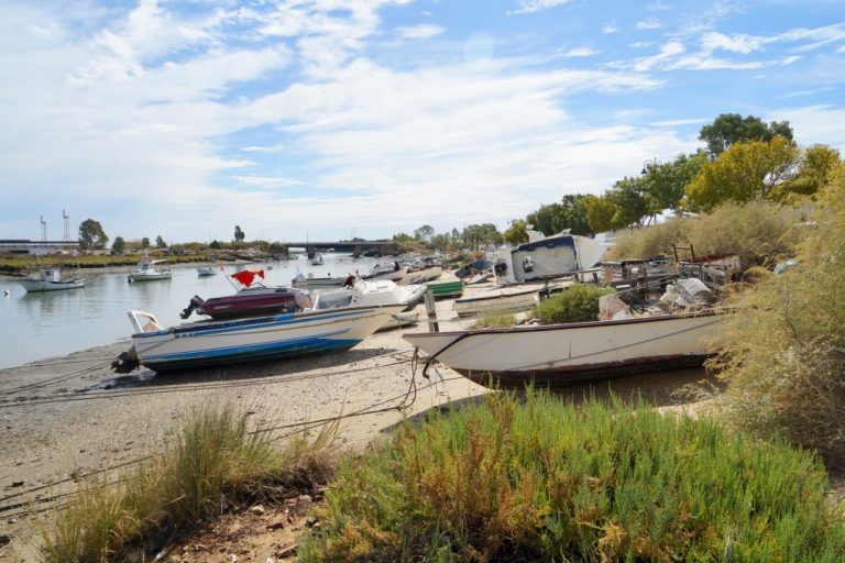 Ayamonte concluye una campaña de limpieza y regeneración de la barriada de pescadores de Canela