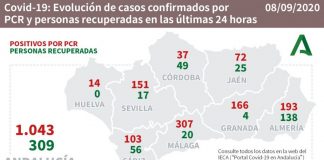 Villalba (5), Trigueros (2), Gibraleón, Aljaraque, Isla, La Palma y Huelva, pueblos afectados por los 14 casos de este martes