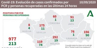Escacena (3), Lepe (1), Bollullos (1), Palos (1) y Villalba (1), son los pueblos afectados por los 8 nuevos casos de este jueves